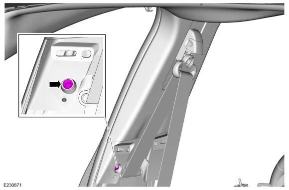 Ford Fusion. B-Pillar Trim Panel. Removal and Installation