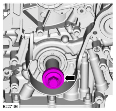 Ford Fusion. Camshafts. Removal and Installation