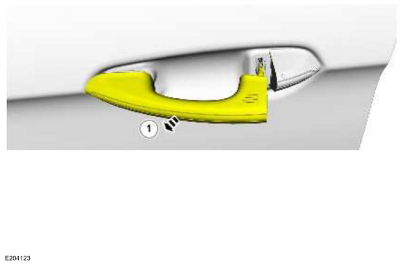 Ford Fusion. Door Latch Lubrication. General Procedures