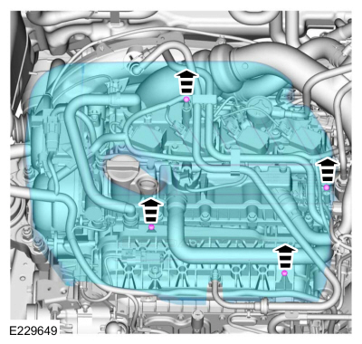 Ford Fusion. Engine. Installation