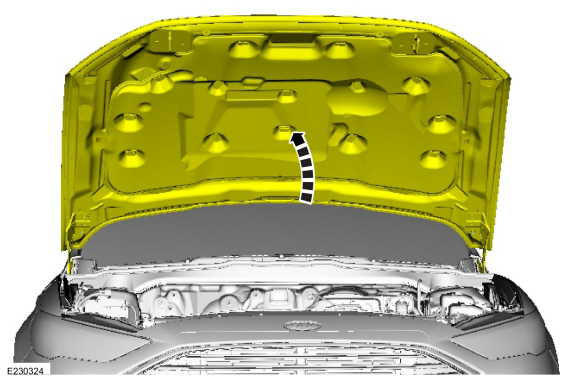 Ford Fusion. Hood Alignment. General Procedures