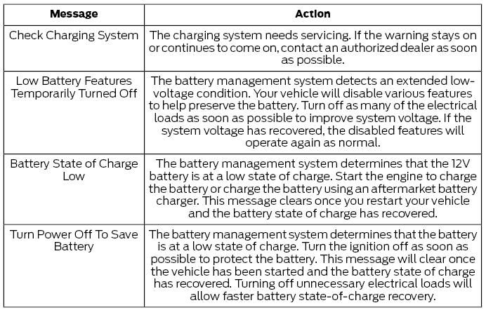 Ford Fusion. Information Messages