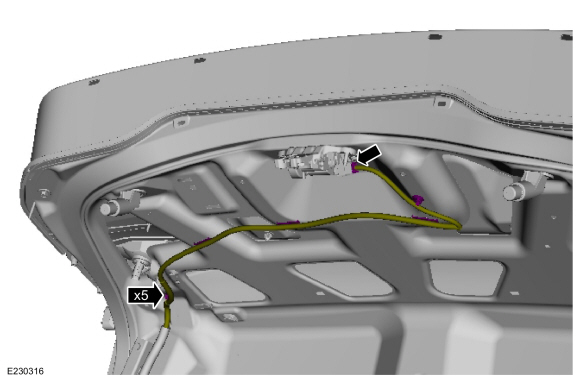 Ford Fusion. Luggage Compartment Lid. Removal and Installation