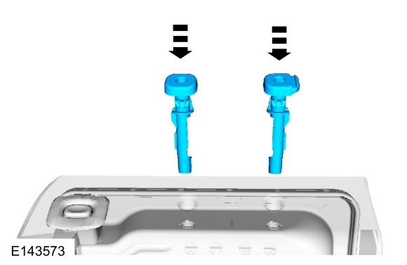 Ford Fusion. Rear Head Restraint Guide Sleeve. Removal and Installation