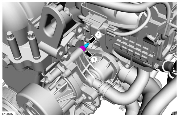 Ford Fusion. Thermostat Housing. Removal and Installation