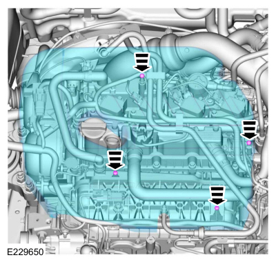 Ford Fusion. Timing Belt. Removal and Installation